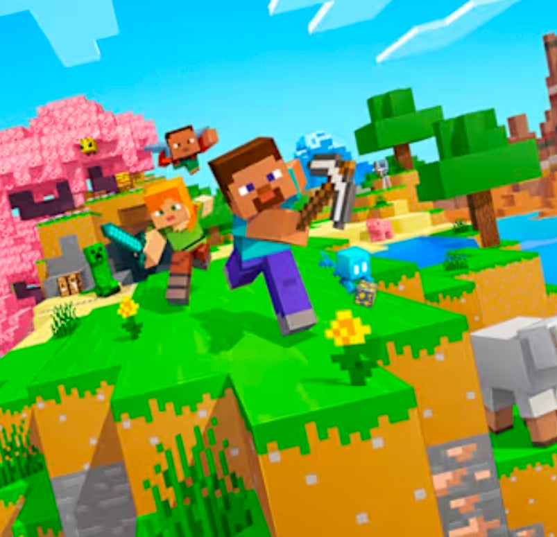 Mine Craft kids class